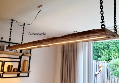 Boomstam Hanglamp Pronk